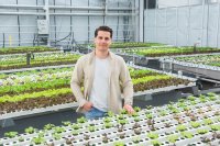 Why Leafy Greens CEA needs more than just innovation